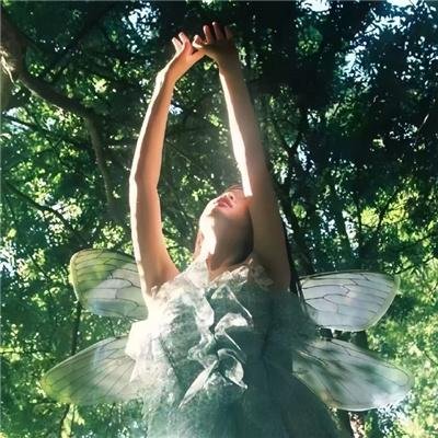 团宠六小姐太野，禁欲妄爷难把持